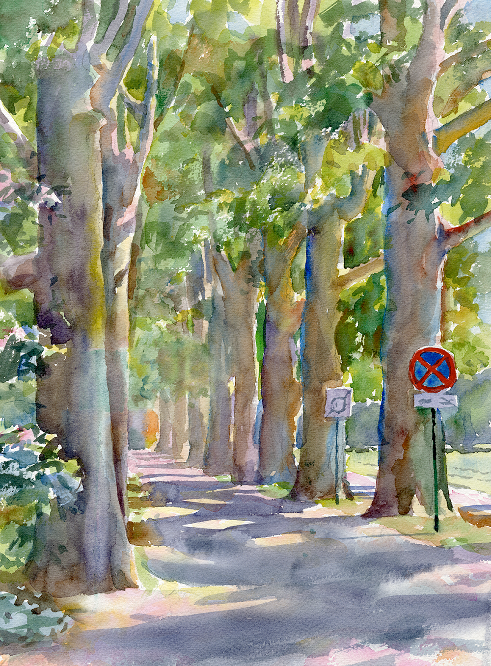 Cezanne's Allee | Le Tholonet, Provence