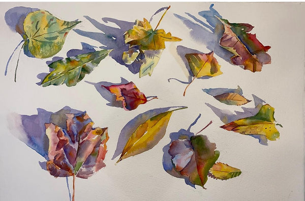 All the Leaves Aren't Brown, But the Sky is Grey