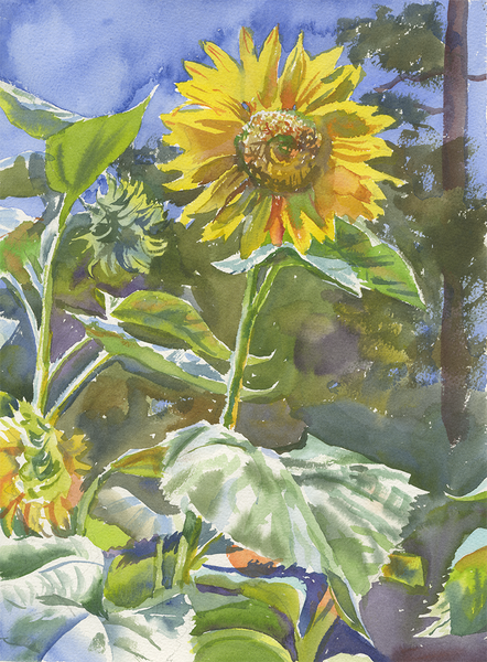 Jesse's Garden | Belhaven