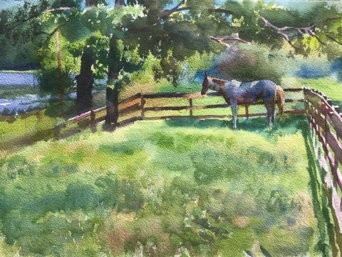 Ole Paint | Flora, MS
