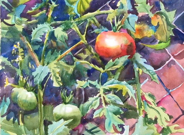 Homegrown Tomatoes