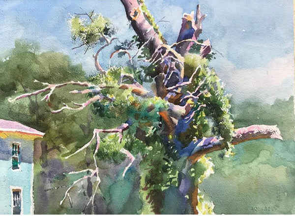 Broken Branches | Belhaven