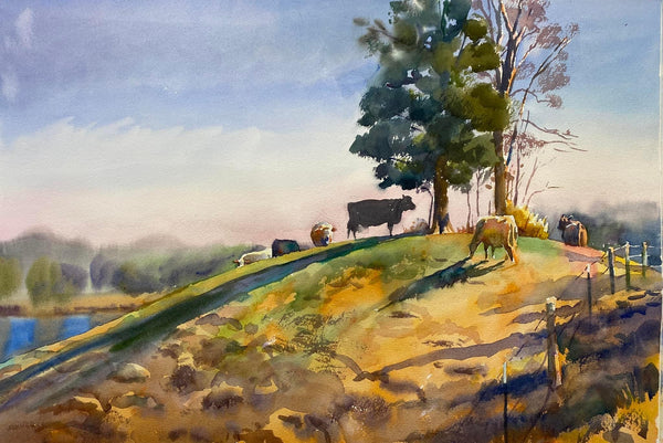 Meeting on the Hill