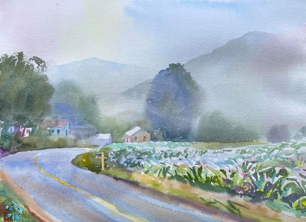 Mist Opportunity | Waynesville, NC