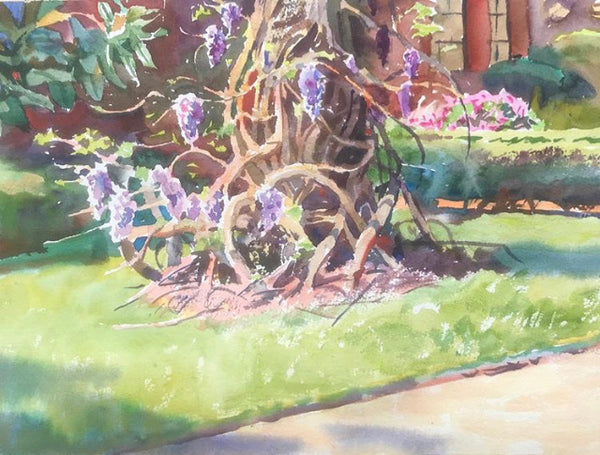 Mass Wysteria | Belhaven