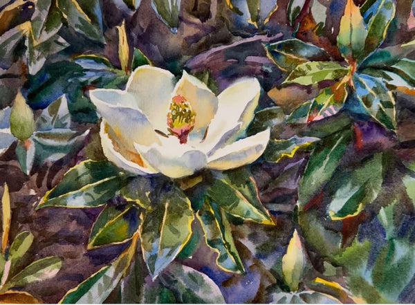 Magnolia Blues