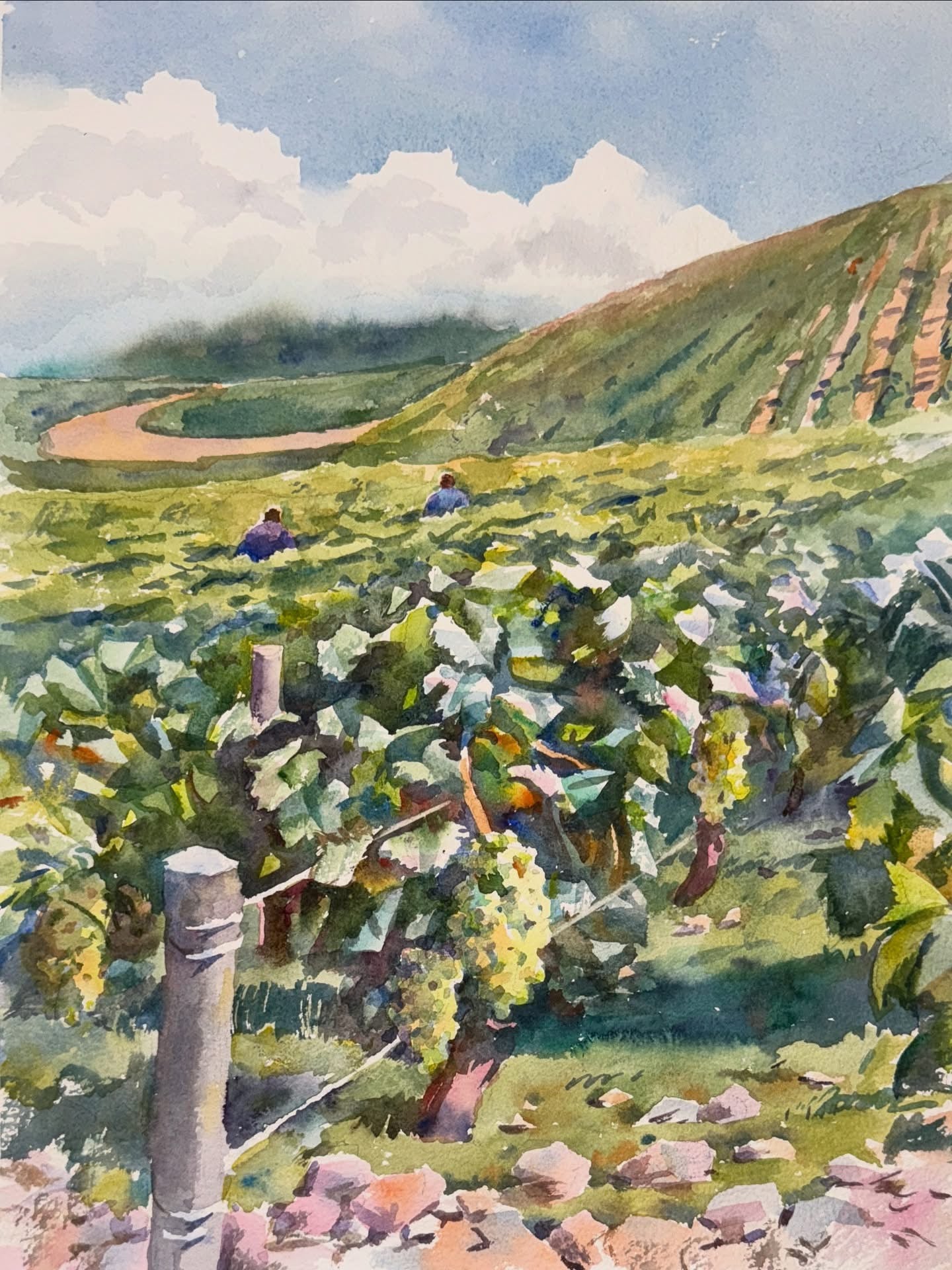 The Vine Intervention | Chablis, Burgundy, France