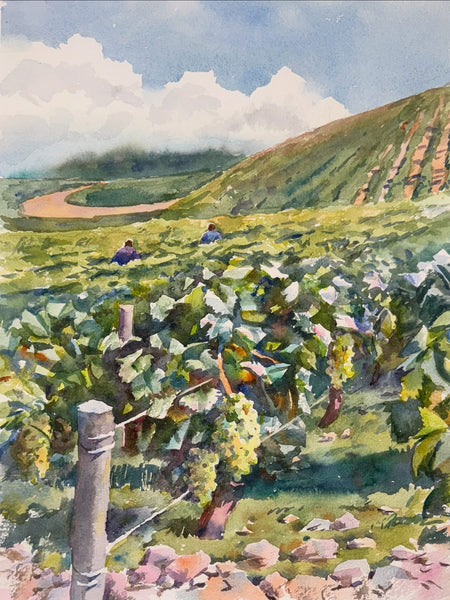 The Vine Intervention | Chablis, Burgundy, France