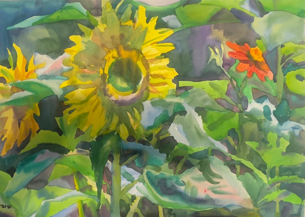 Sunflower Facing Forward
