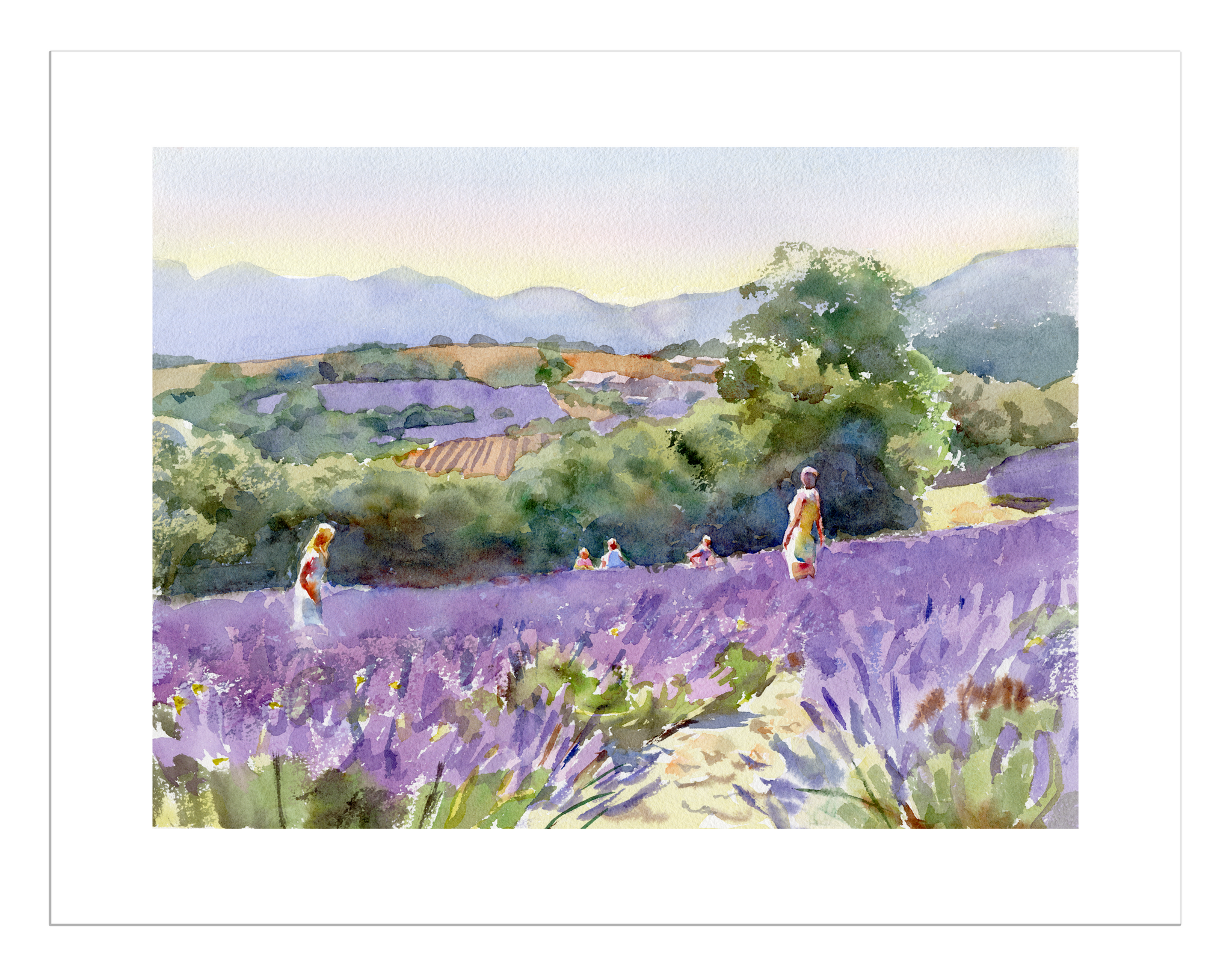 Print | Purple Hay