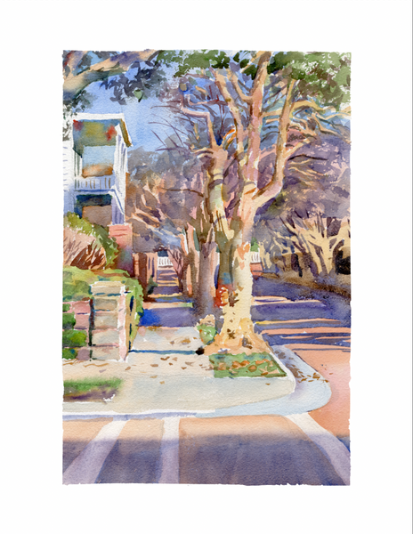 Print | Crepe Paper | Natchez, MS