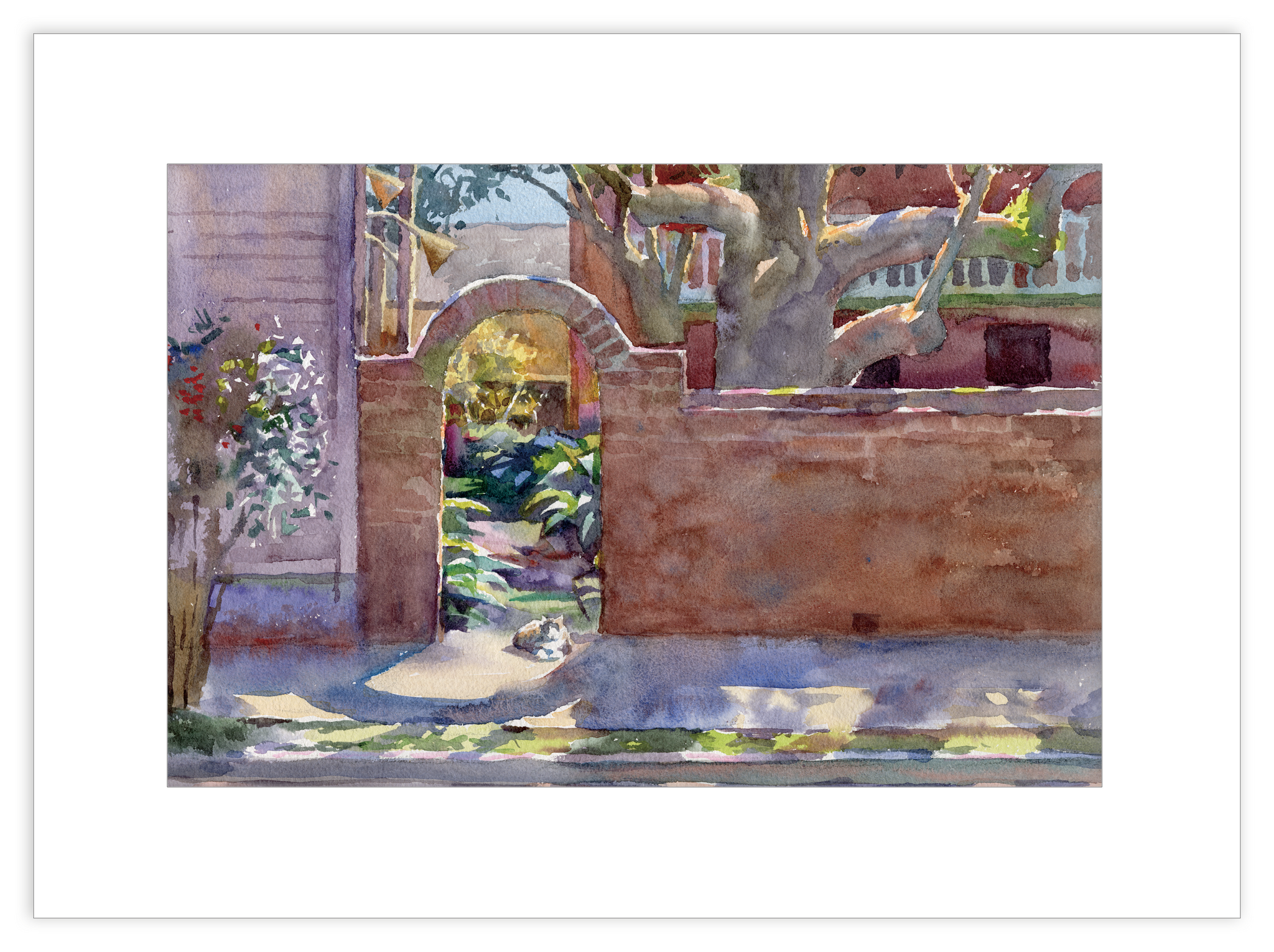 Print | Catatonic | Natchez, MS