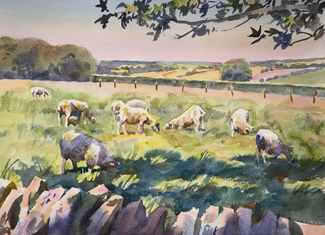 Wool Light | Guiting Power, Cheltenham, United Kingdom