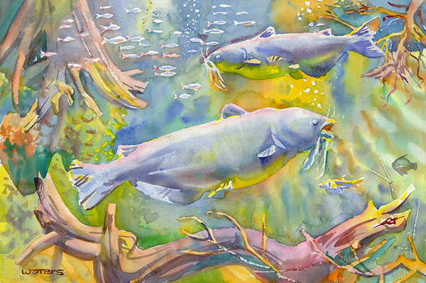 Blind Lemon Catfish | MS Natural Science Museum