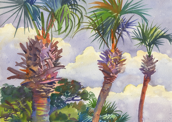 Three Palms | Destin, FL