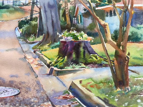 Root of the Answer | Belhaven