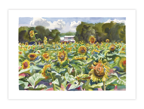 Print | Field of Sunflowers