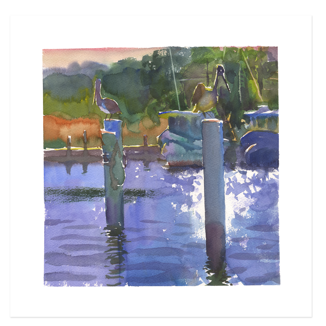 Print | Apalachicola Pelicans
